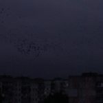 Вечірній краєвид на житловий район, вид здалеку. В темряві неосвітлені будинки майже не помітні.